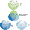 Back to the roots: Uncovering ectomycorrhizal ...