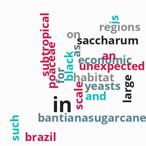 Sugarcane: ...