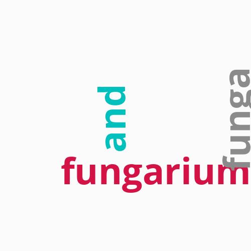 Funga ...