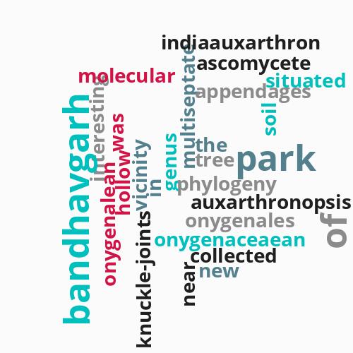 Auxarthronopsis, ...