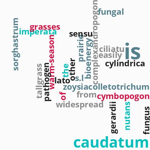 Colletotrichum ...