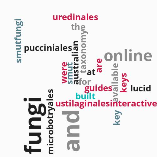 Online ...