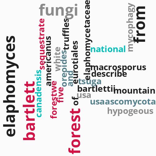 Elaphomyces ...