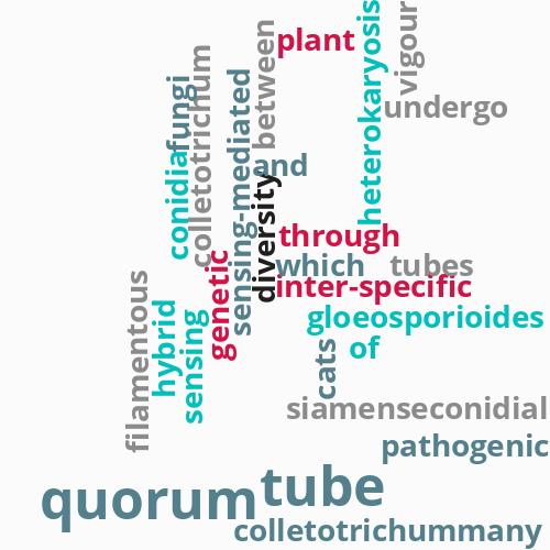 Quorum ...