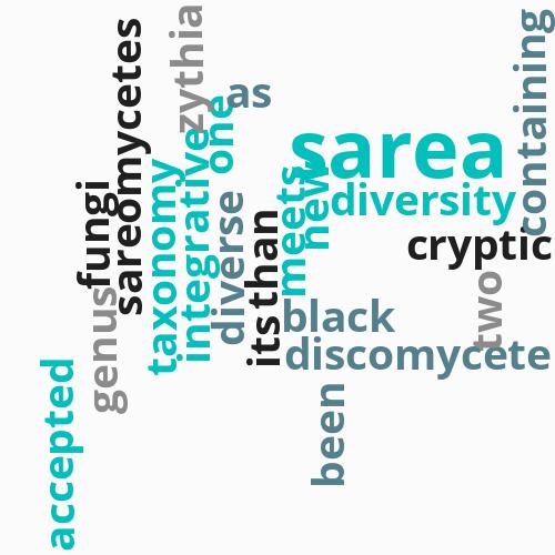 Sareomycetes: ...